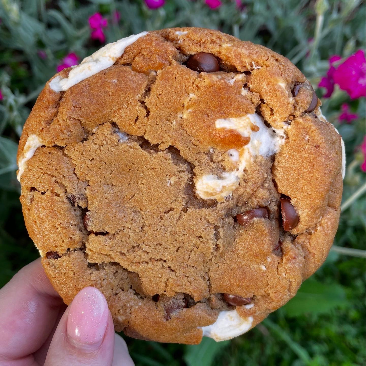 S'mores