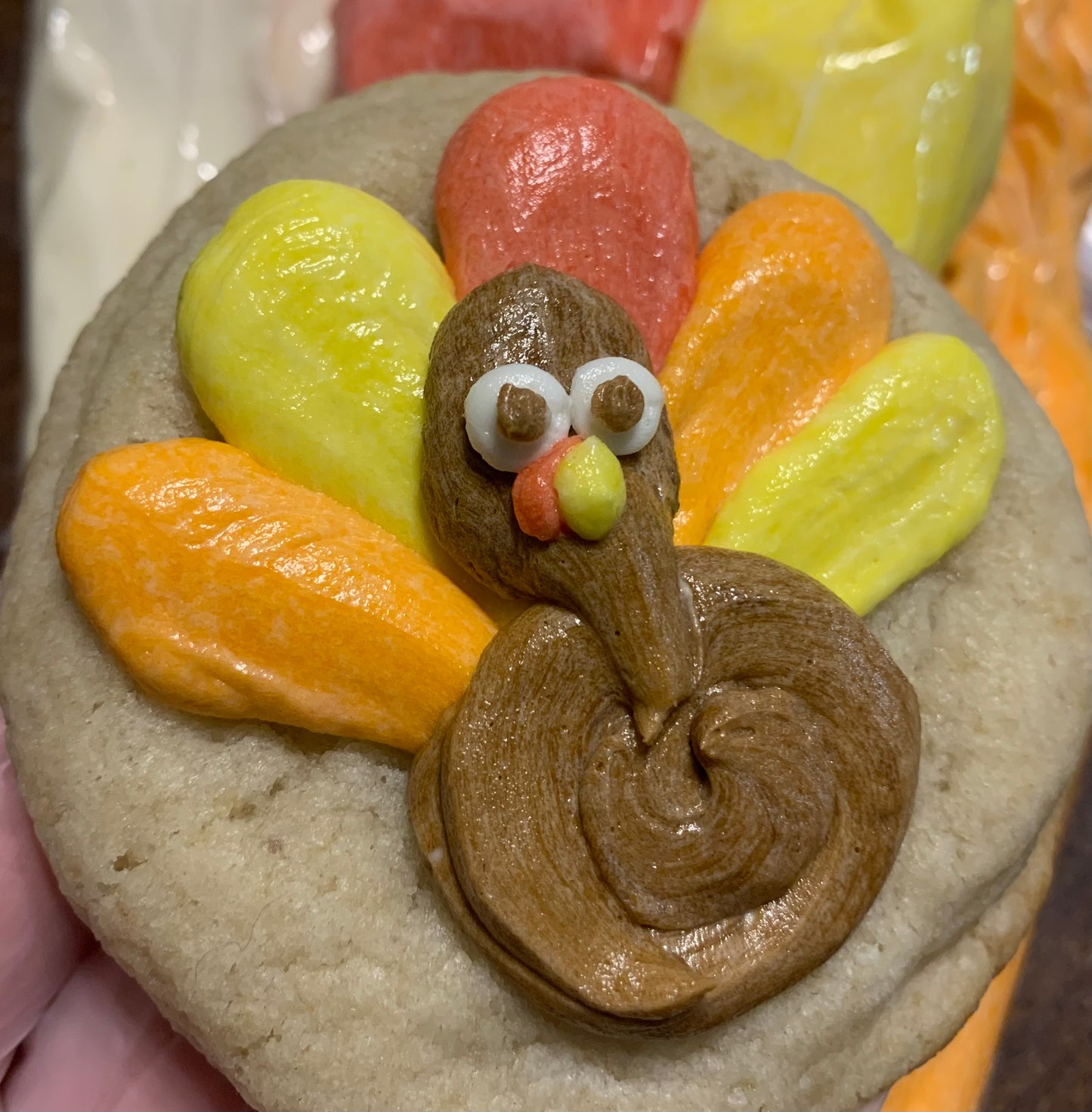 Turkey Decorated Sugar Cookies - half dozen